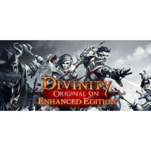 Divinity Original Sin Enhanced Edition - PC Download