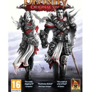 Divinity Original Sin - PC Download