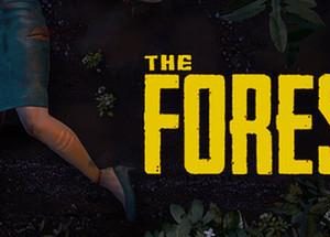 The Forest PC Download Video Game Windows Computer