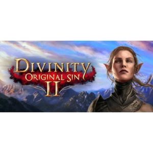 Divinity Original Sin II - PC Download