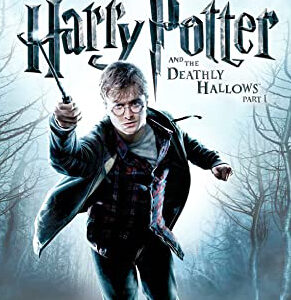 Harry Potter and the Deathly Hallows Part I - PC Download